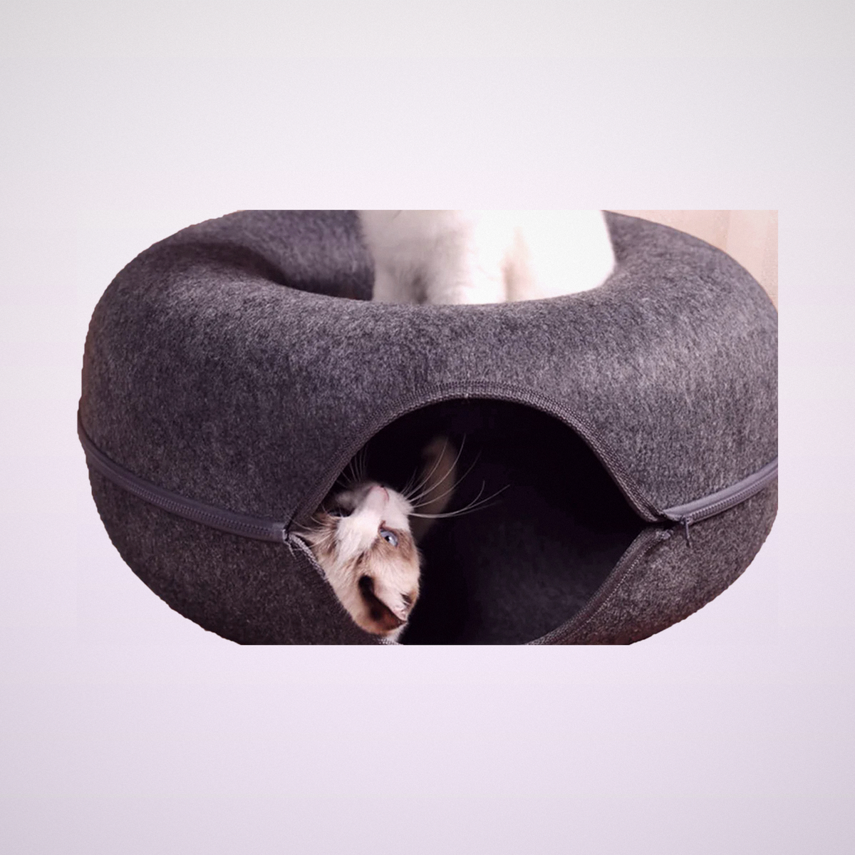 Luna 2-in-1 Felt Cat Bed & Play Tunnel