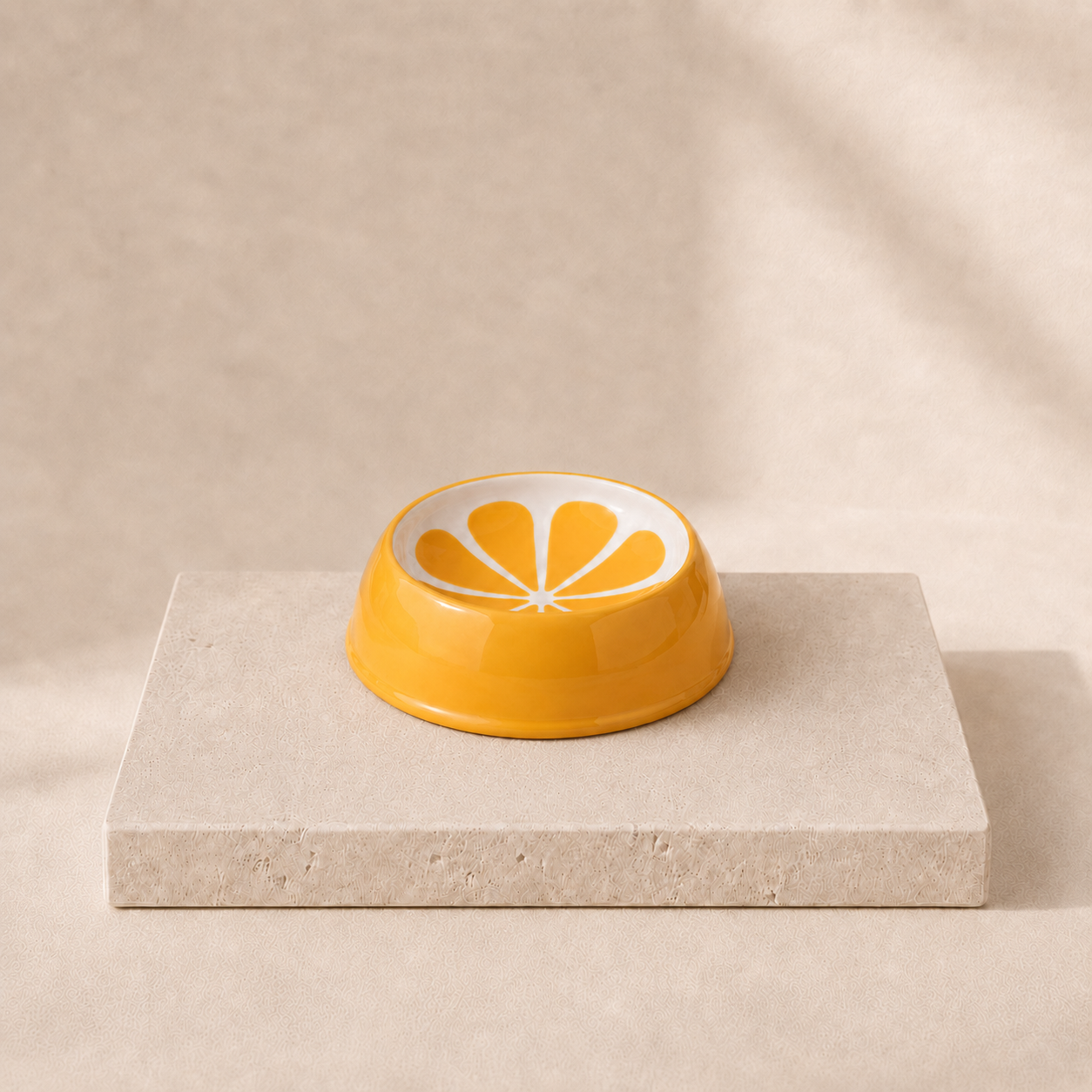 Frutta orange citrus ceramic pet bowl editorial main image